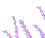 Animated lavender